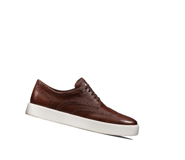 Zapatillas Clarks Hero Limit Cuero Hombre Marrones | QOKM-34586