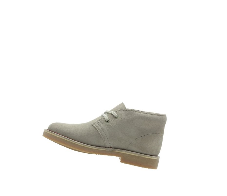 Botas De Desierto Clarks Iconic Embossed Gamuza Niña Beige | INVD-53790