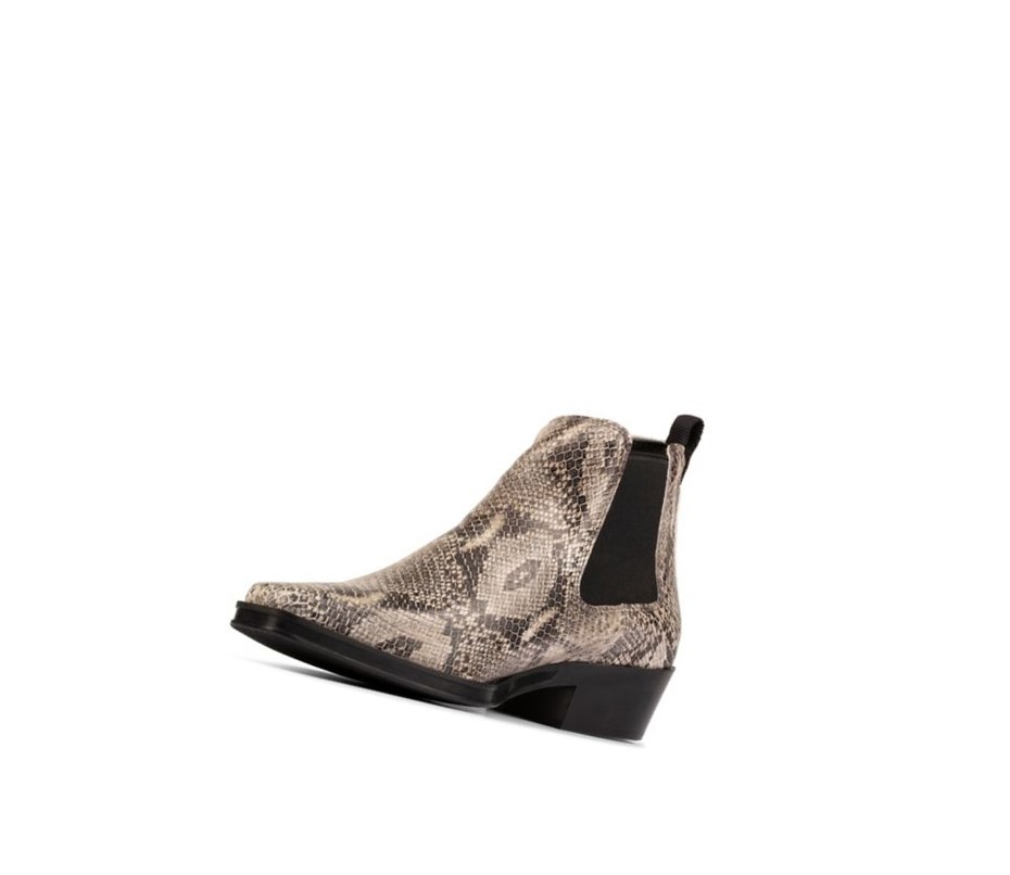 Botines Chelsea Clarks Alcina Top Cuero Mujer Gris Serpent | HZAW-13824