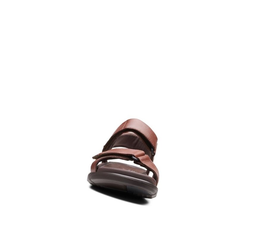 Sandalias Casuales Clarks Un Wilmore Band Cuero Hombre Marrones Oscuro | JNZV-61309