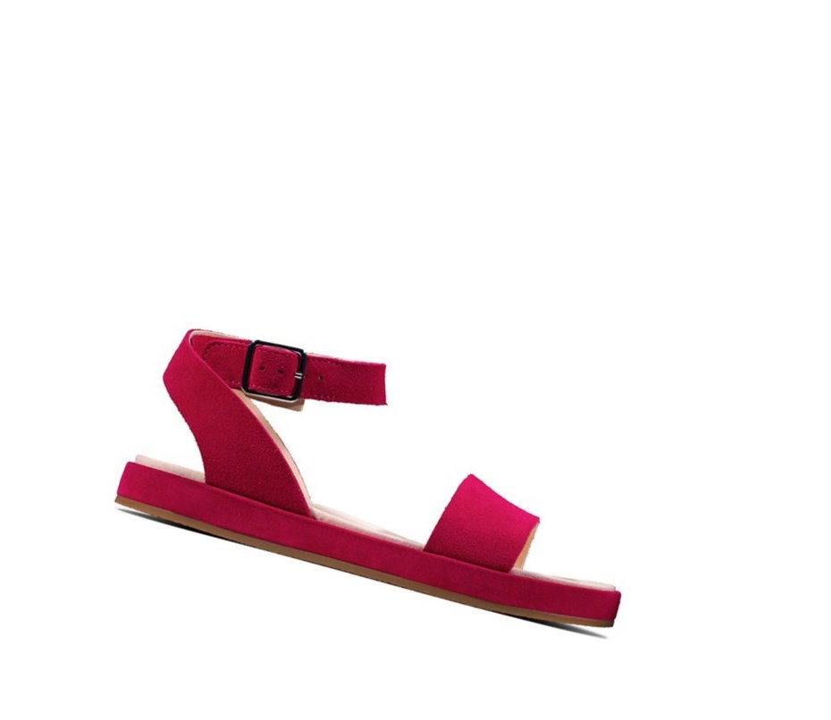 Sandalias Planas Clarks Botanic Ivy Gamuza Mujer Fucsia | HXUI-47921