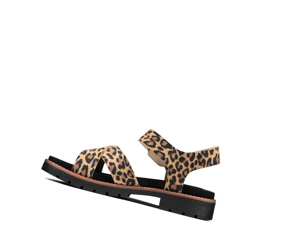 Sandalias Planas Clarks Orinoco Correa Print Cuero Mujer Leopardo | PNWI-91648