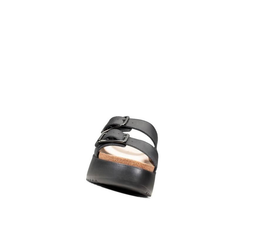 Sandalias de Diapositivas Clarks Botanic Chanclas Cuero Mujer Negras | VSCQ-72450