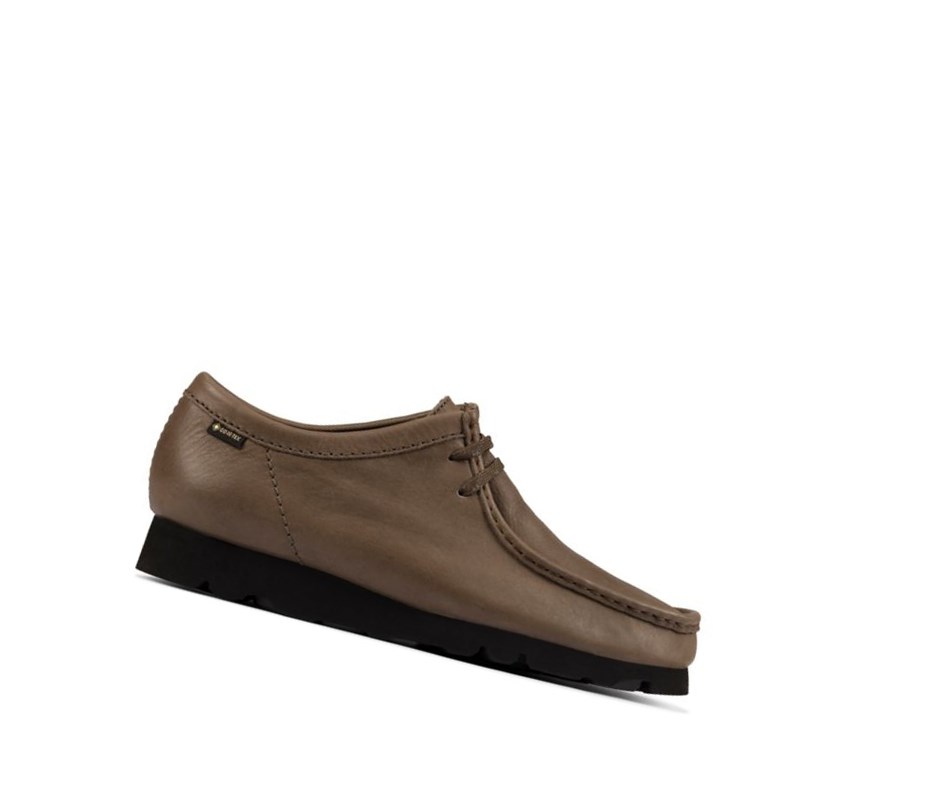 Wallabee Clarks Gore-tex Cuero Hombre Verde Oliva | MKBC-02746