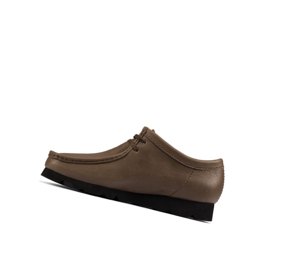 Wallabee Clarks Gore-tex Cuero Hombre Verde Oliva | YCTL-85034