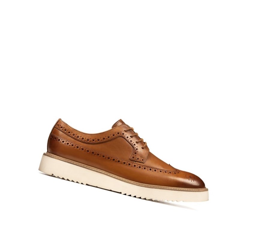 Zapatos Brogue Clarks Ernest Limit Cuero Hombre Marrones | TYCA-46183