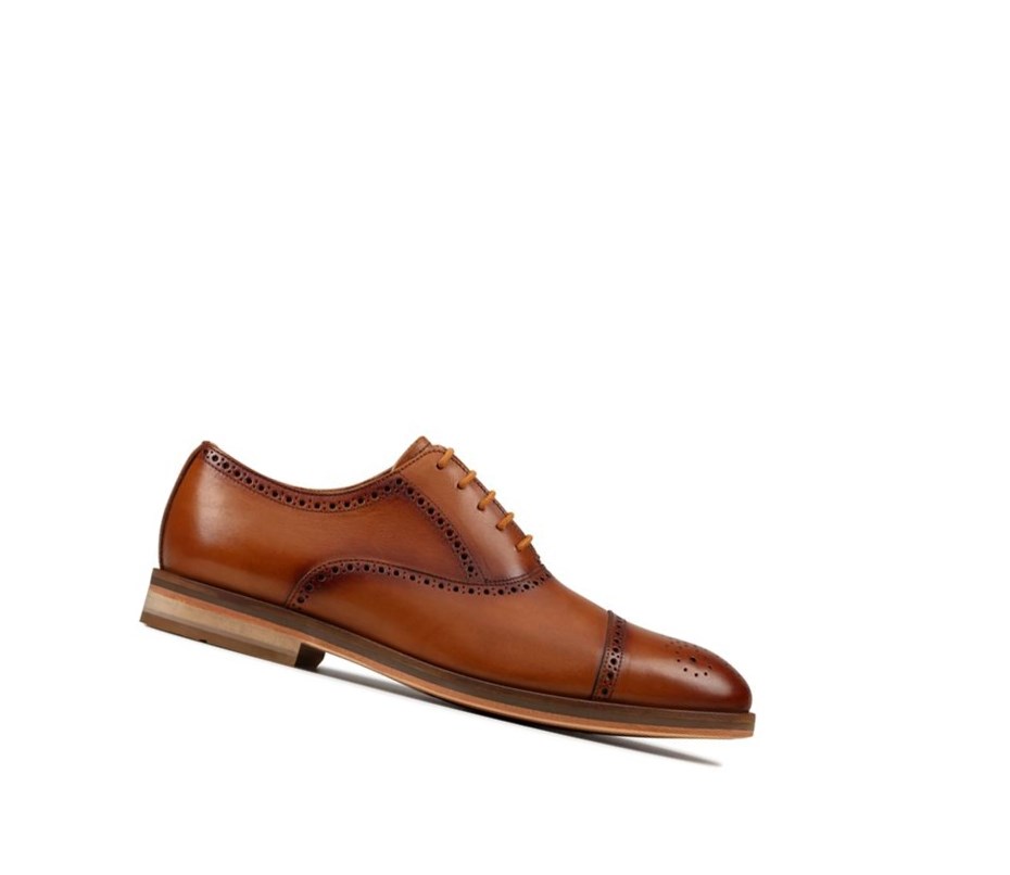 Zapatos Brogue Clarks Oliver Limit Cuero Hombre Marrones | UCQI-47120