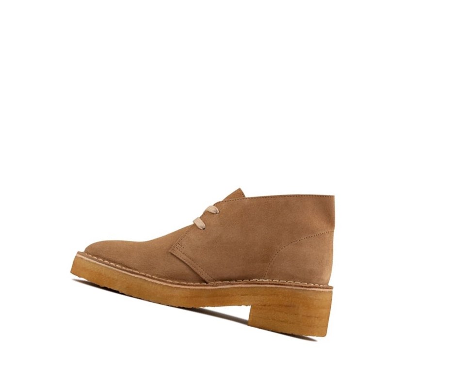 Zapatos con Cordones Clarks Arisa Gamuza Desert Mujer Marrones | MOXP-20465